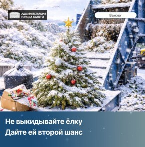 Не выкидывайте ёлку! Дайте ей второй шанс