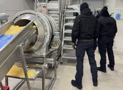 Полиция обнаружила в Калужской области нелегальную сыроварню