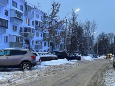 Дмитрий Денисов воззвал к совести владельцев «подснежников»