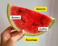 Как в России называют дольку арбуза и что за этим стоит