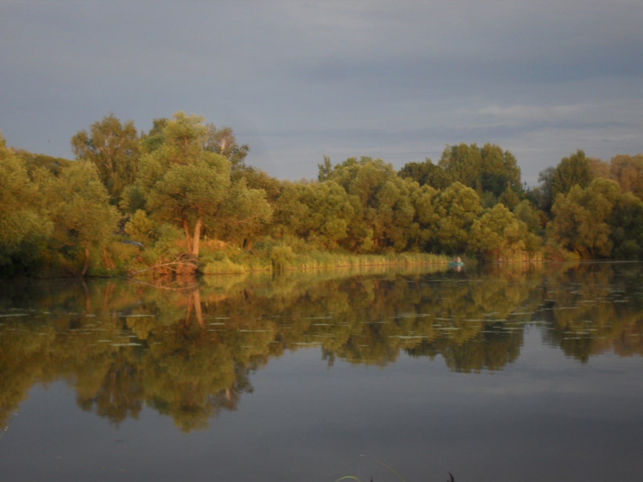 Москвичка перевела знакомому миллион рублей на «участок» в Калужской области