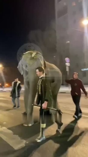 � ������ ���� ������ �� ����� � ����� ������ �� ������� ������