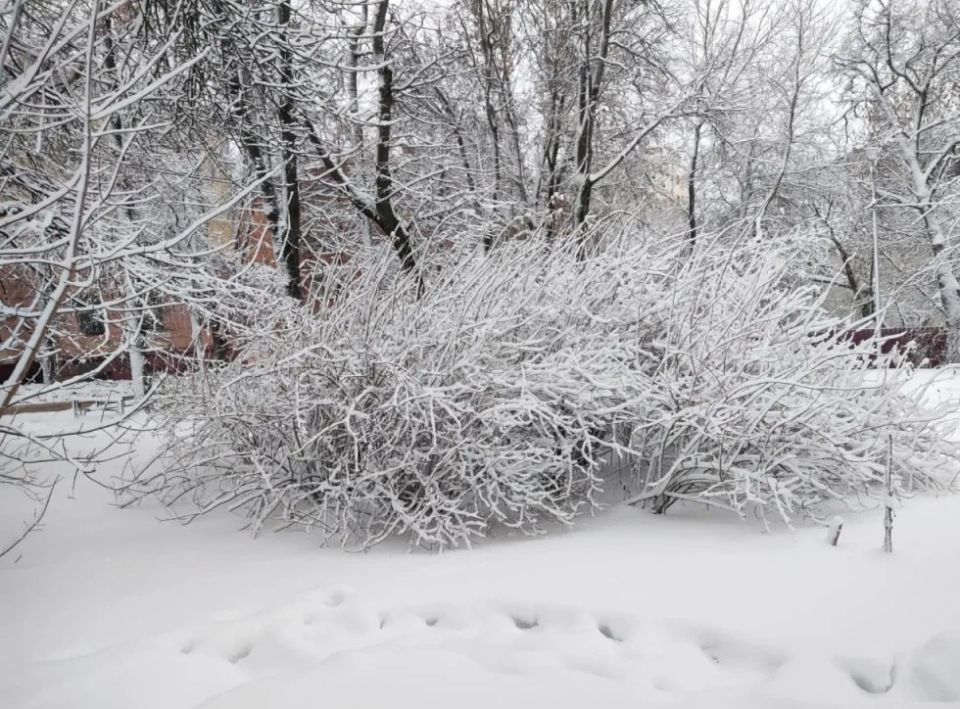 ������� �������� ������������ � ��������� �������