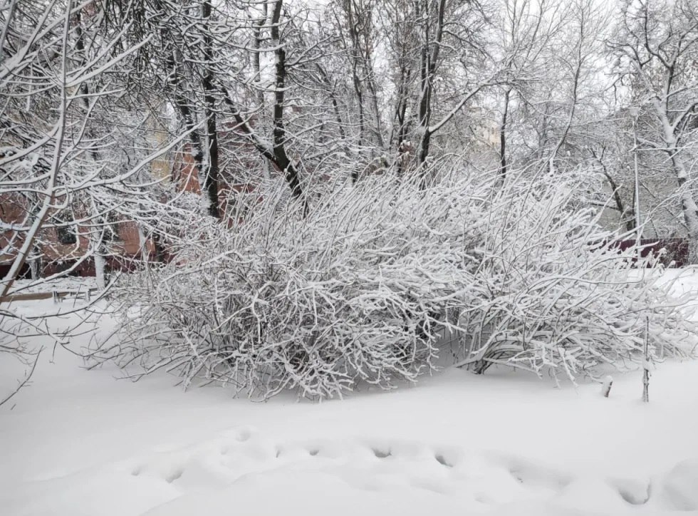 Сильный снегопад прогнозируют в Калужской области