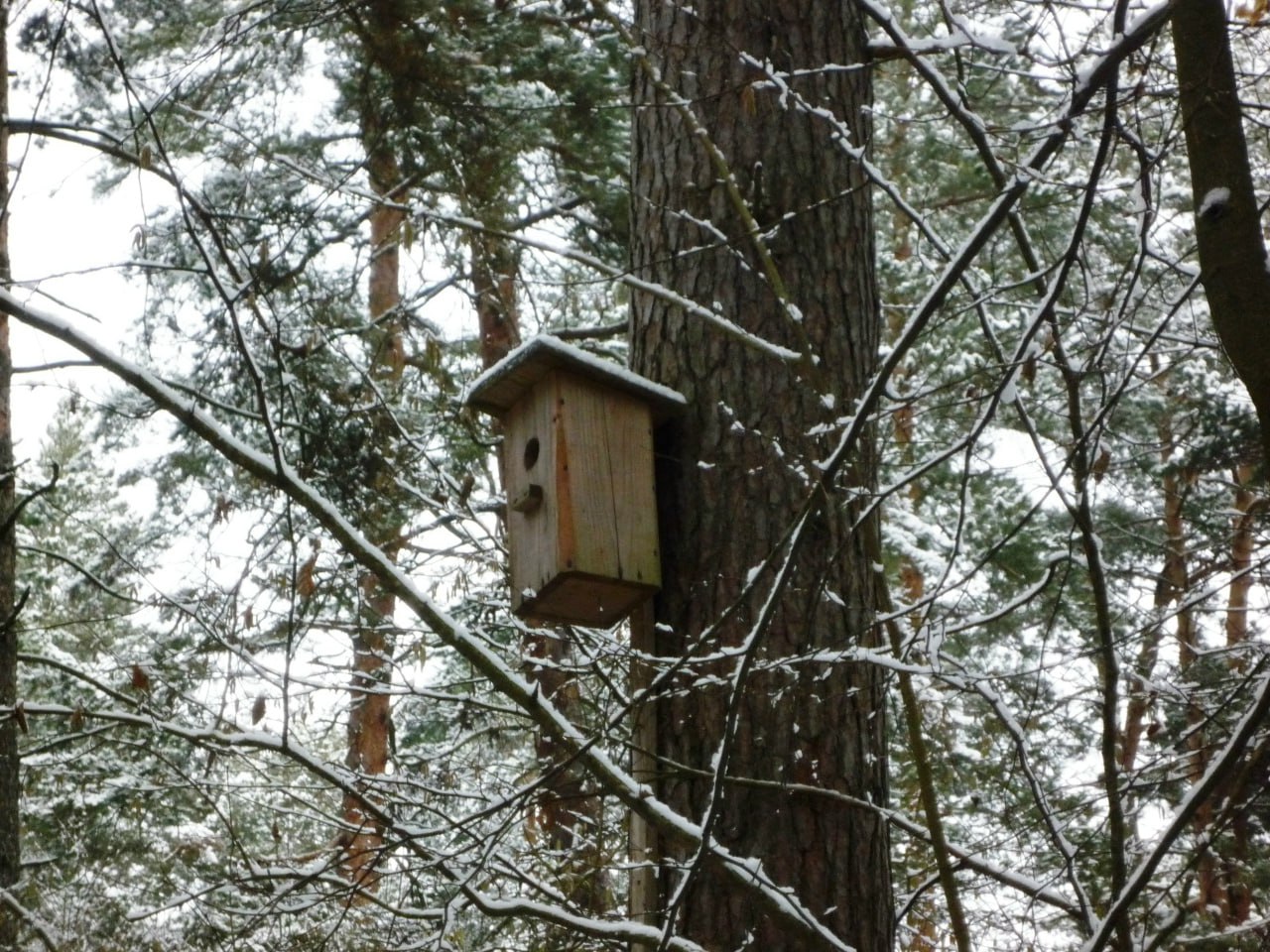 В Калужской области прогнозируют морозную субботу