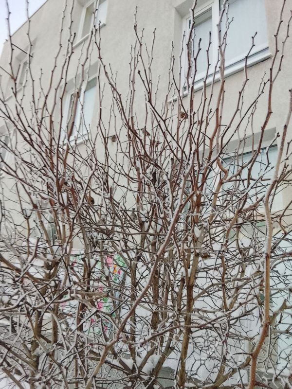 ��������� ������ ���� � ������