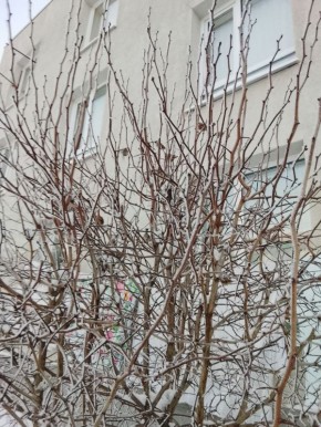 ��������� ������ ���� � ������