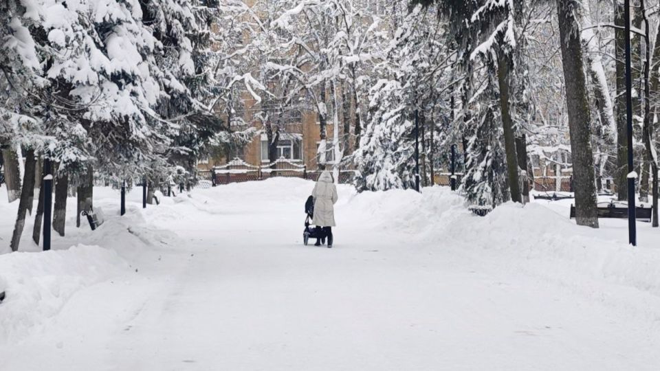 ������ �������� ����� �������� ���� ����