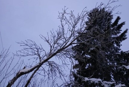 ����� � ��������� ������� ��������� ����������� ���������