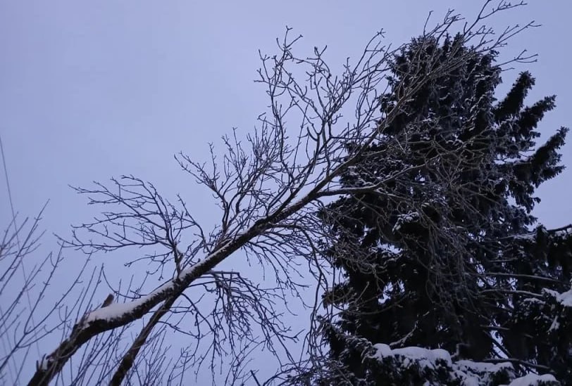 Ночью в Калужской области объявляли беспилотную опасность