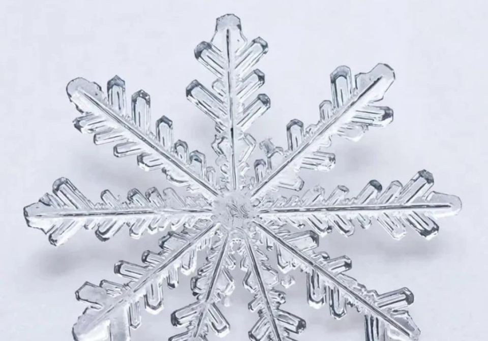 ������� ���������� ���������� ������ ���������� �������� � ������