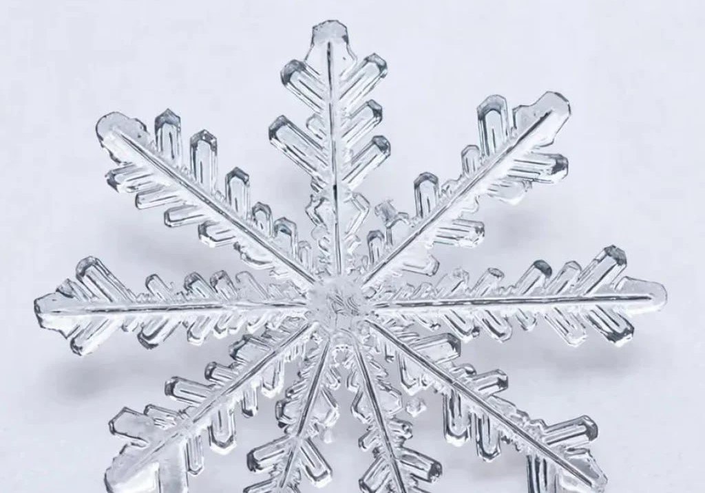 Горожан интересует дальнейшая судьба новогодней снежинки в Калуге