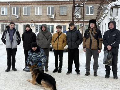 ������������� ������ ������������ � ������� ����������-�������� ����� ������ ����������