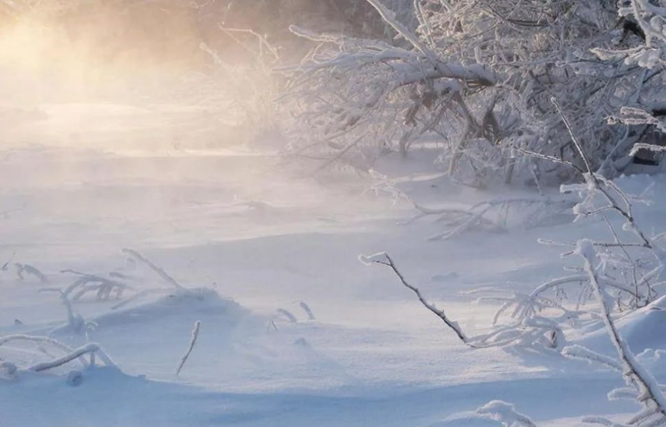 � ��������� ������� ������ �������� � �������