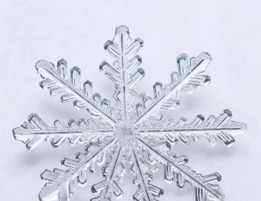 � ������ ������ ������ ���������� ����������� ���������