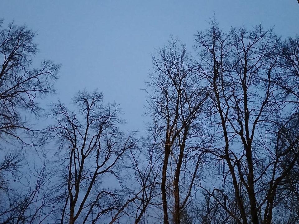 ������� ��� ���������� ����������� � ���� ��������� �������