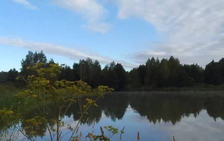 � ������ ������������ ��������������� �� ���� �����