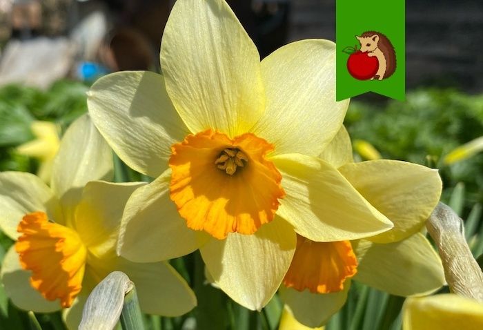 ��� ��������� �� ���������� ����� ��������: ��� ������� ���� ��� ������� �������