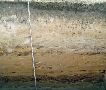 ����� ������������ ���� ����� � ����������� ������