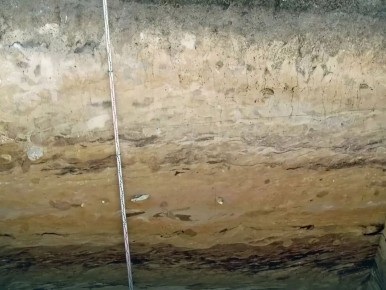 ����� ������������ ���� ����� � ��������� �������