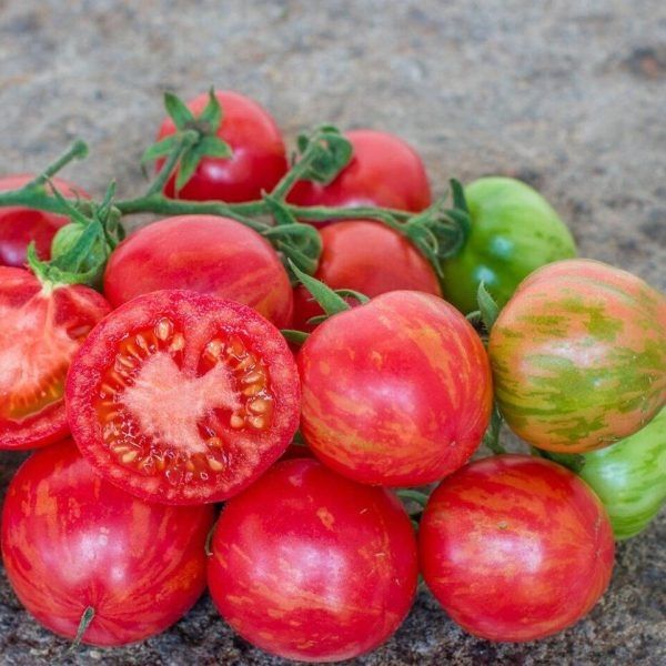 ���������� ����: ��� ������������ ������ ����������� ������������