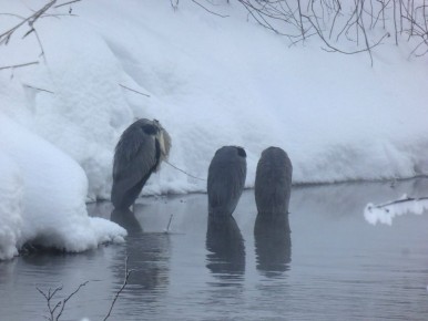 � ������������ ������ ������� ������������� �������� ������� ������