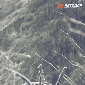 Внимание водители!. На сети Госкомпании «Автодор» в настоящее время задействовано около 300 единиц техники, за прошедшие сутки использовано более 8 тысяч тонн противогололедных материалов