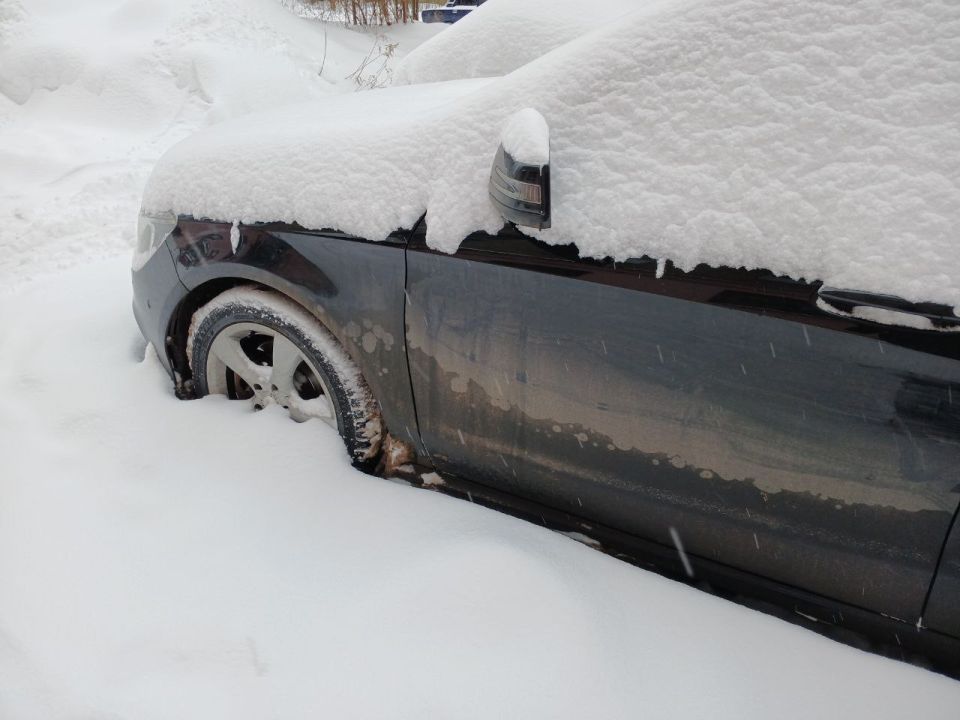 ������ ������ ������ ������ ������ � 13 ���� ��� ������ �����