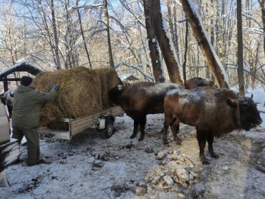 � ��������� ������� �������� ������������ ������