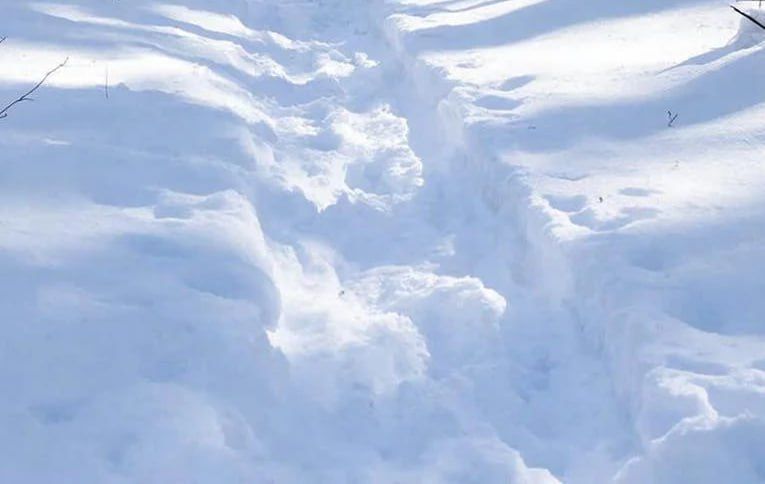 � ������ ���� ��������� ����� � ����� �� �����