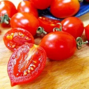 Томат Искорка: неприхотливый и урожайный выбор для любого участка