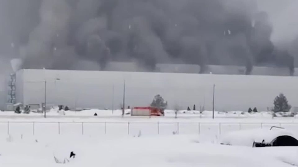 ��������� ���������� � ����� �� ���������������� ����� ������ ��� � ������, �������� ��� ������������ �����������, ������������ ���, �������� ���� � �����-������ ��������