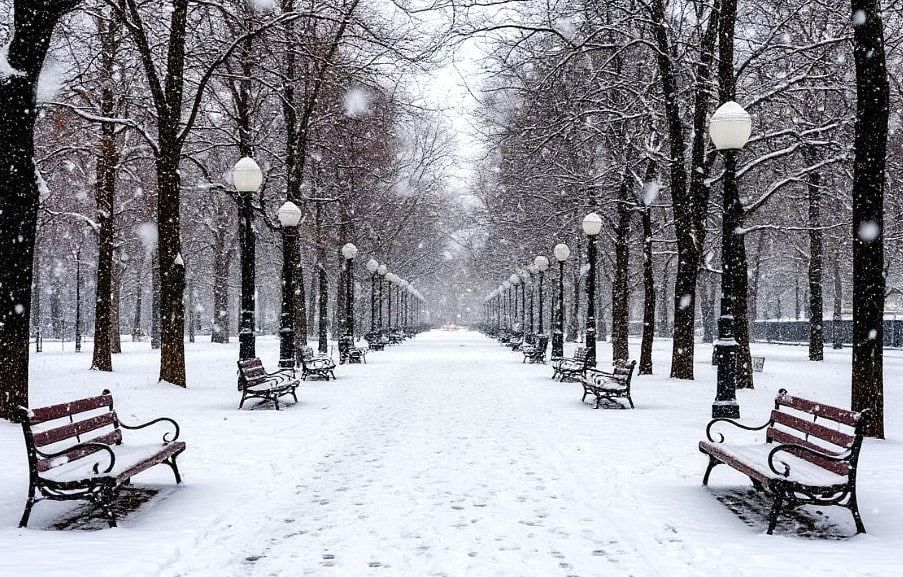 � ����� � ��������� ������� ����� ��������� ��������