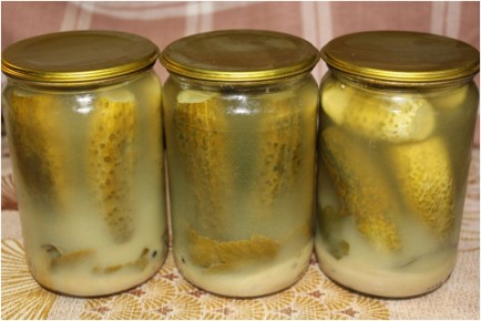 ������ ������ � ��������� �������� �� ����: ��������� ���������� ��������