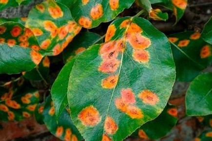 ������ � ����� ������������ ��� ������� ������ � ��� ������ ��������