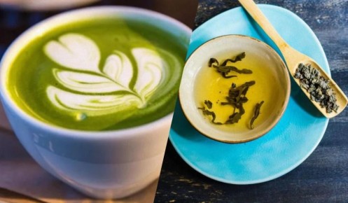 Матча против зеленого чая: спокойное понимание пользы и различий
