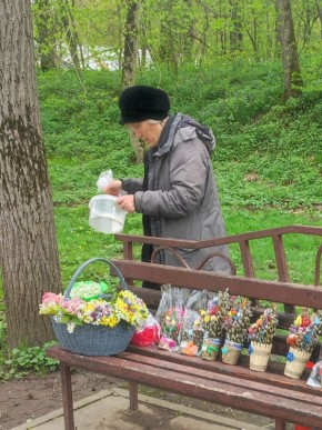 ��� �������� ���������� � �������� � ��������� ��-������� ������������ �� ���