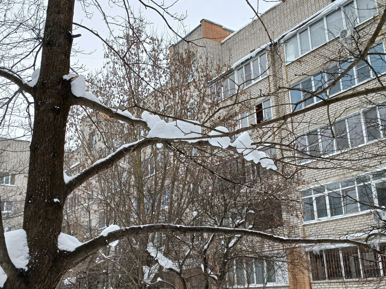 В Калужской области ожидается похолодание и снегопад