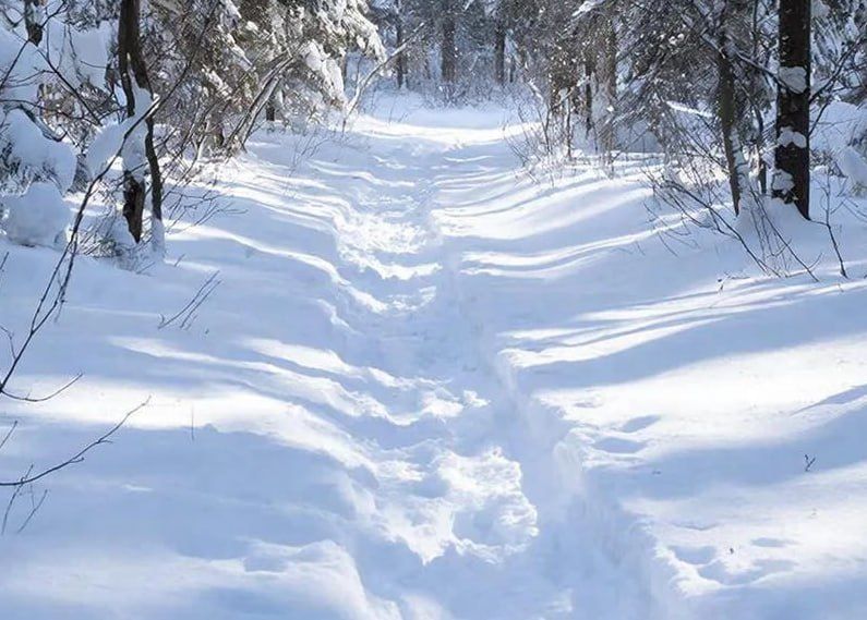 � ������ �� ����� ��������� �������������� ���������� ������ ������ �����