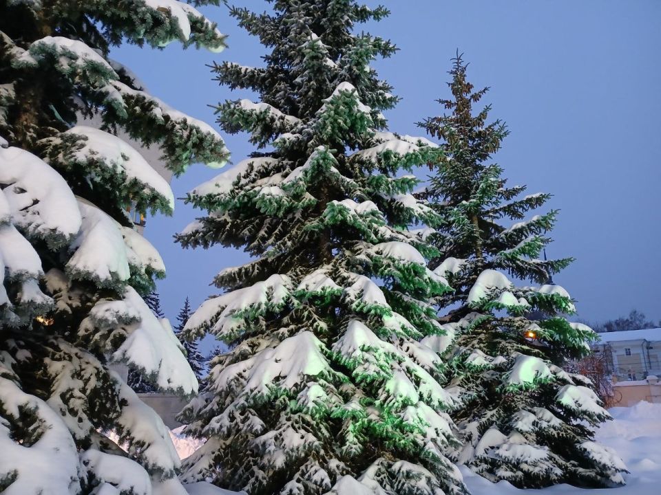 ���������� ������ ���� ��������� �������