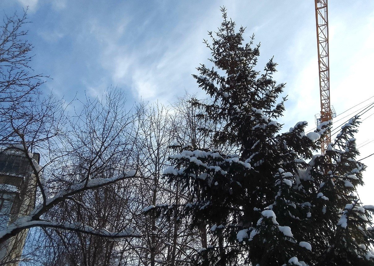 В Калужской области немного подморозит