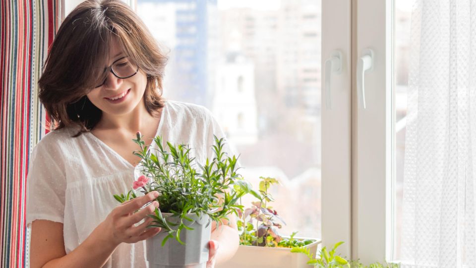 ������ ������� � ����� ����� � �����������: ��� ��� ����� ��� ���������