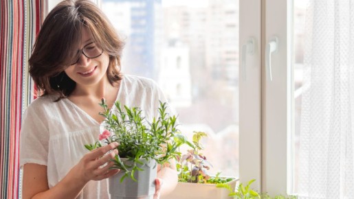 ������ ������� � ����� ����� � �����������: ��� ��� ����� ��� ���������