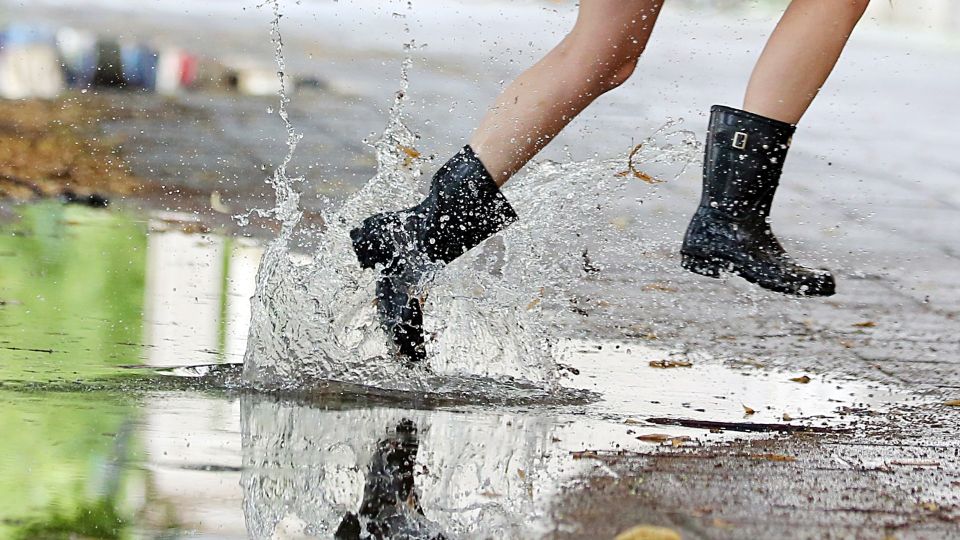 ���� �� ��������� ���� ��� ������: 3 ��������, ��� ������� ����� �����������������