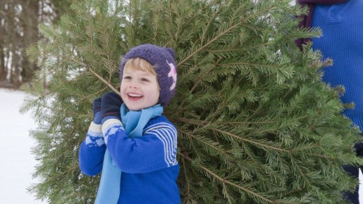 ���������� ������� �� ������ ���� ������ � ��������: ����� ��������� �� ����� ��� ���� �������