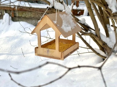 ����������� �������� � ������ ����� ���������, �� ������