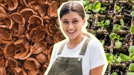 ����������� ���������� �������� �� ������: � ��� ������� ����� �������� � �������