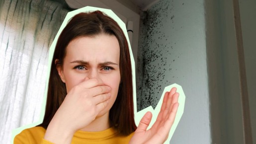 ���� �������� �� ���: ��� ������ �������� �� ������� � �������