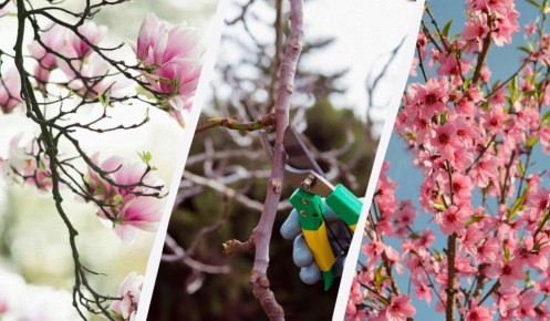 ������� �������� �������: ����� �������� ����� �������� � �����