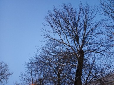 � ��������� ������� ������� �������� � ����� �������